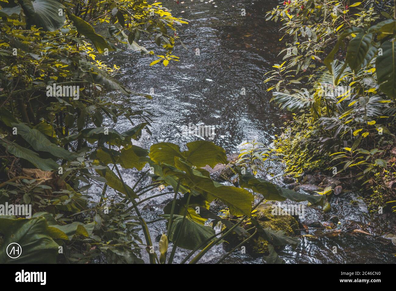 BOGOTA, COLOMBIA - 12 aprile 2018: Fotográfia del jardin botanico de bogota Foto Stock