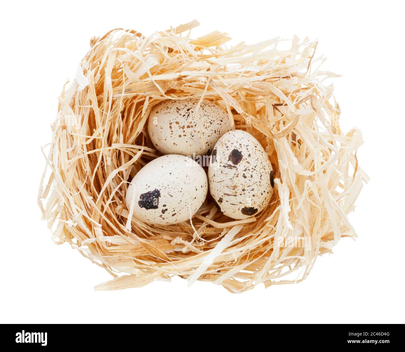tre uova di quaglia in un nido, isolate con il percorso di ritaglio Foto Stock