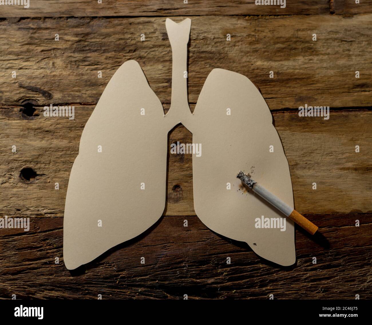 Immagine concettuale di sigaretta bruciata su polmoni di carta isolati su sfondo rustico. Stile di pubblicità del tabacco e del cancro polmonare, avvertimento medico, stato Foto Stock