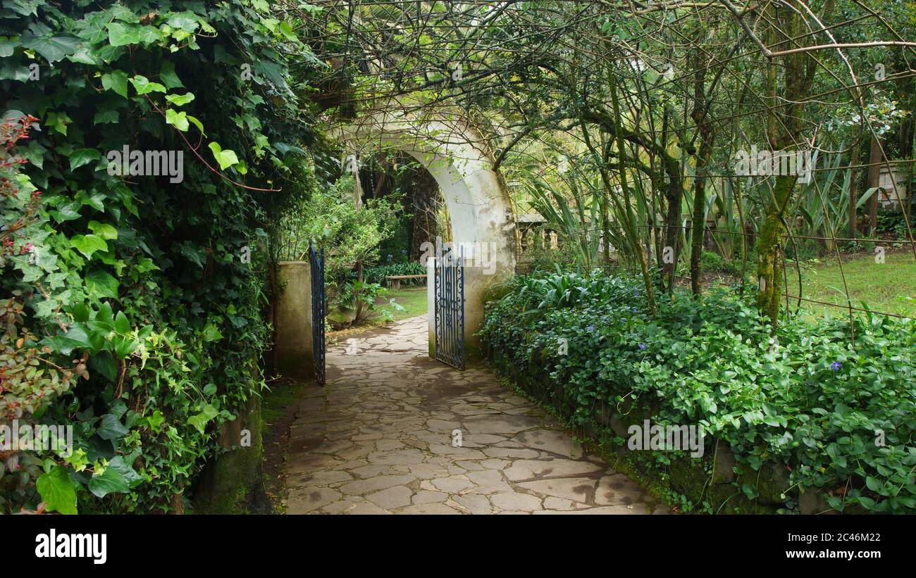 Porta vecchia di un ranch circondato da alberi e piante con foglie verdi durante il giorno Foto Stock