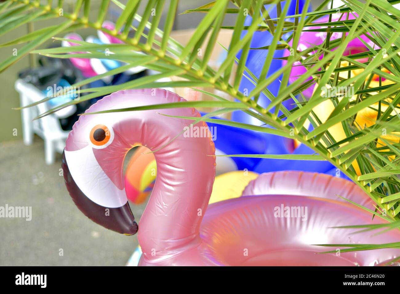 Fenicottero rosa gonfiabile con un ramo di palma. Foto Stock
