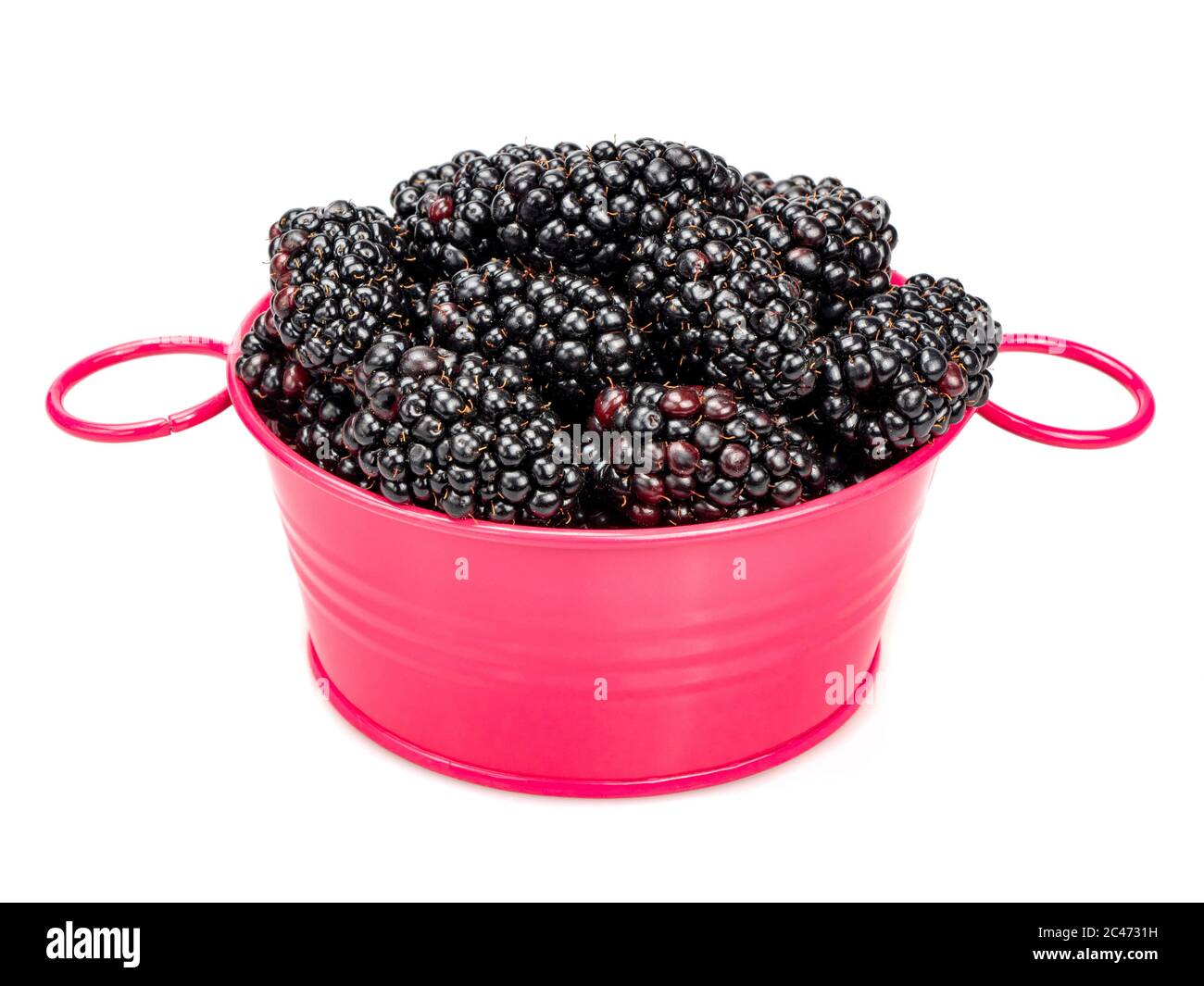 Grandi bacche di mora mature in un bacino rosa brillante, su sfondo bianco. Foto Stock