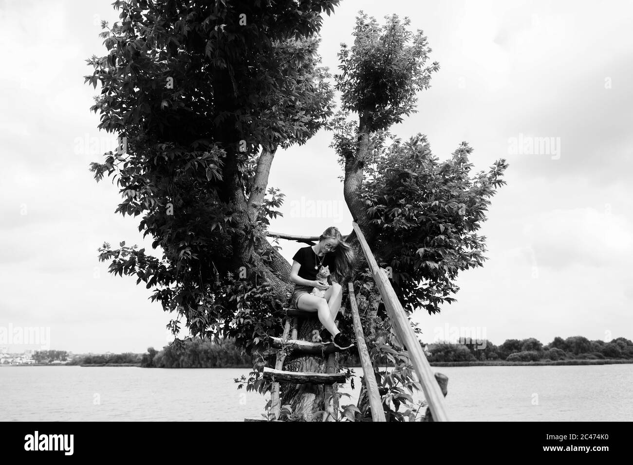 Una giovane donna con un gattino scozzese di tre mesi si siede su un bellissimo albero verde sopra il lago in estate. Cammina, riposa con un animale domestico. La bionda indossa pantaloncini corti in denim, una T-shirt in cotone nero e occhiali. Foto Stock