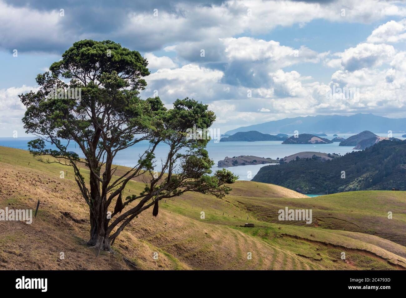 Il Firth del Tamigi e vista a nord lungo la costa occidentale della penisola di Coromandel dalla Manaia Road Saddle, Waikato, Isola del Nord, Nuova Zelanda Foto Stock