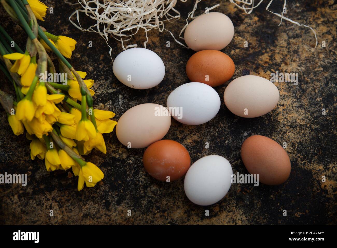 Mele mature raccolte nel frutteto. Cassa di legno con mele sullo sfondo della tavola da scrittura. Foto Stock