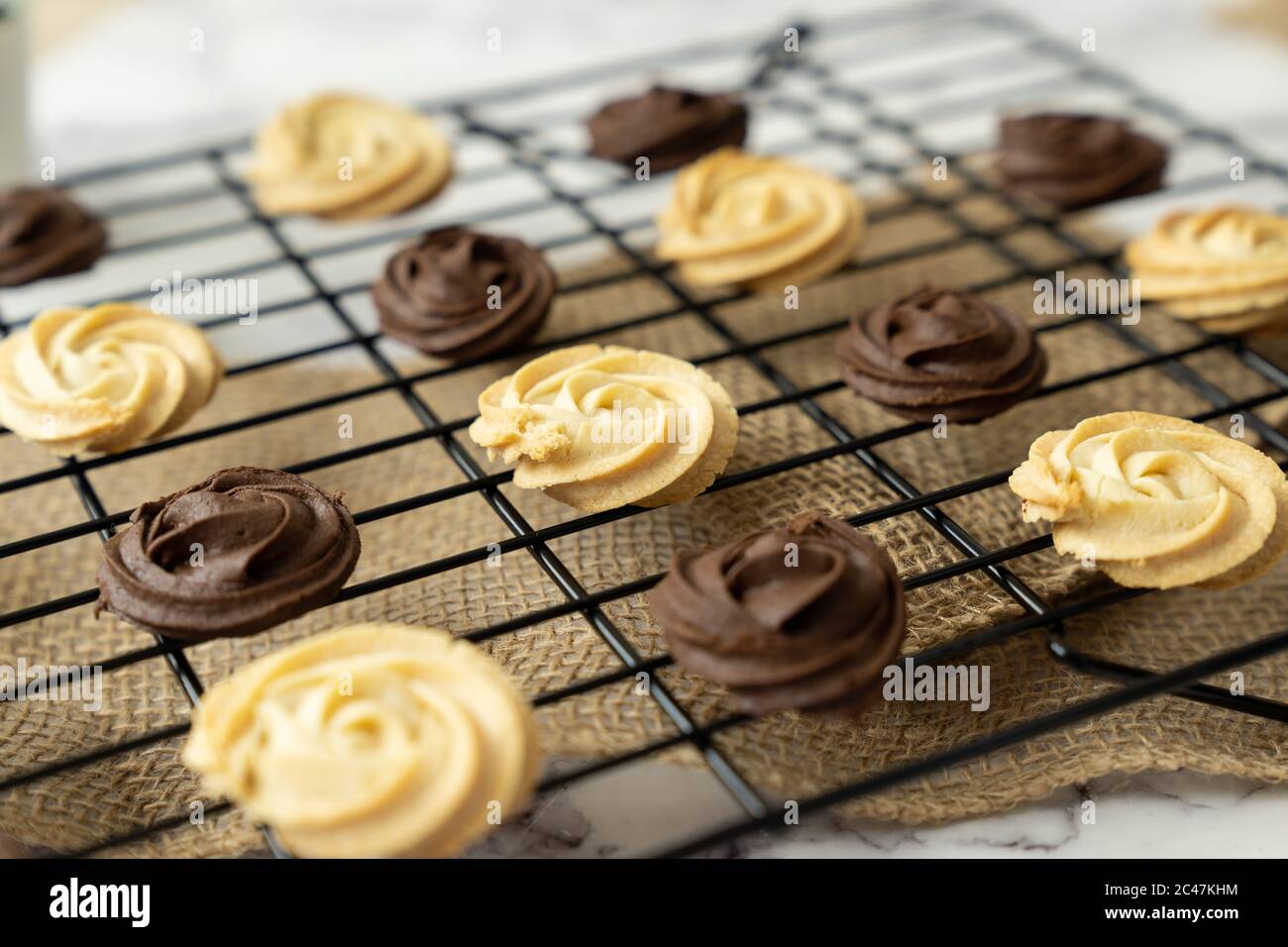 Biscotti al cioccolato bianco e scuro Foto Stock