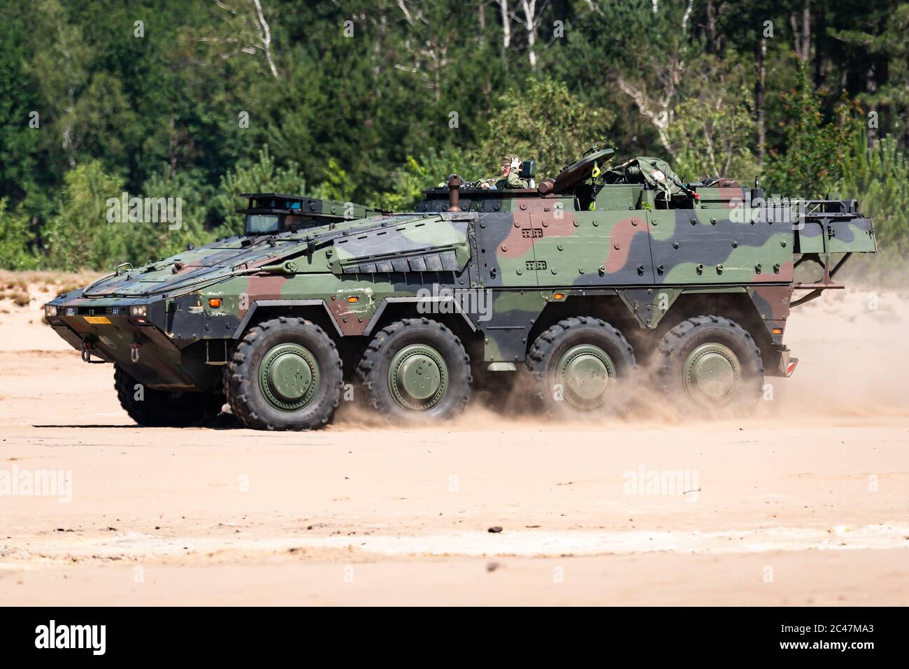 Un Boxer MROV veicolo blindato multirole della Royal Netherlands Army che guida nella sabbia. Foto Stock