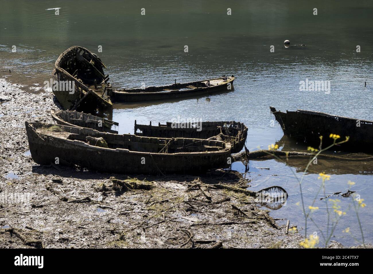 Immagine di una piccola barca di legno abbandonata vicino a. lago Foto Stock Immagine di una piccola barca di legno abbandonata vicino a. lago Foto Stock