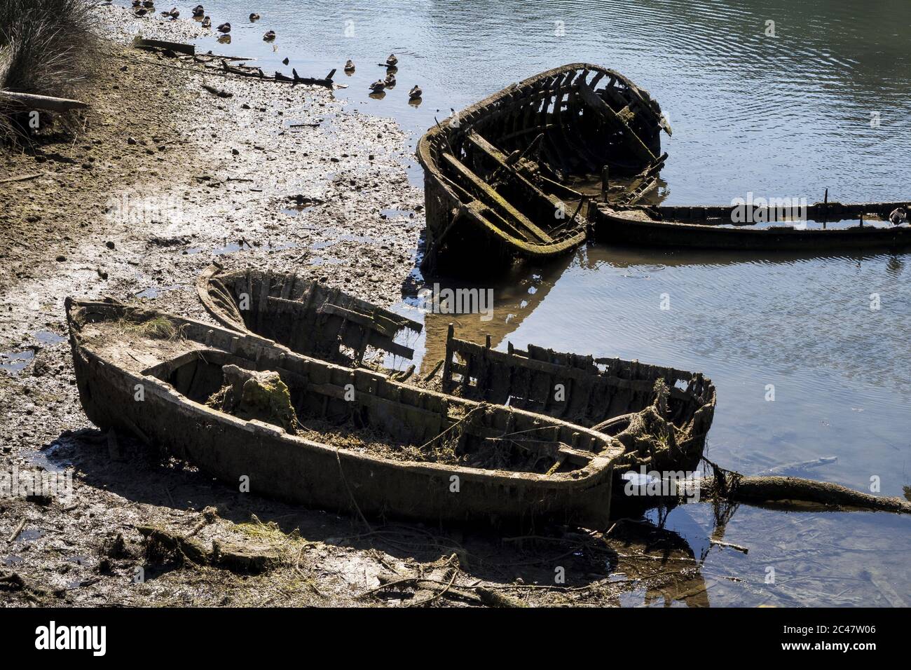 Immagine di una piccola barca di legno abbandonata vicino a. lago Foto Stock Immagine di una piccola barca di legno abbandonata vicino a. lago Foto Stock