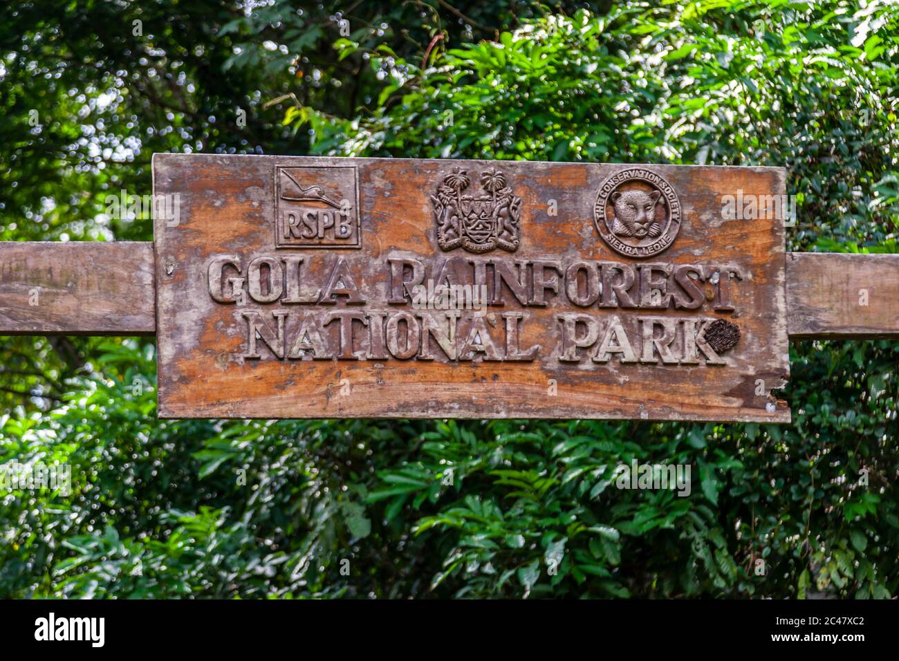 Parco Nazionale della Foresta pluviale di Gola in Sierra Leone Foto Stock