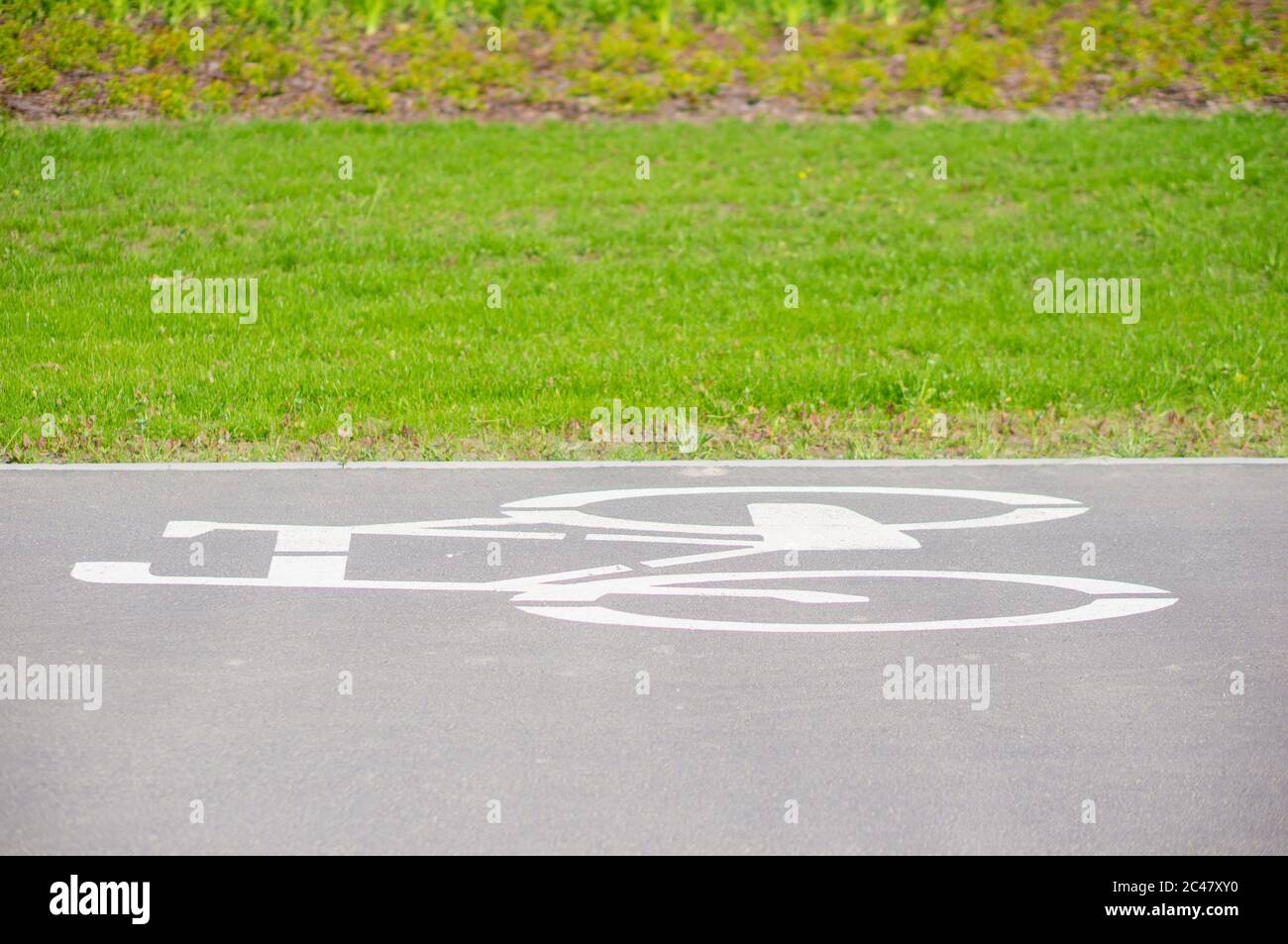 Percorso in bicicletta con un simbolo davanti all'erba verde. Foto Stock