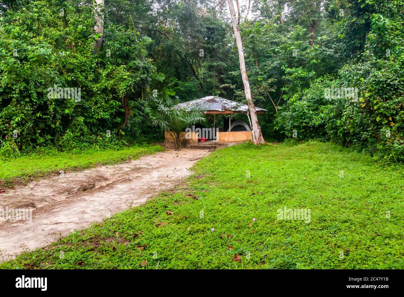 Campo di Tiwai, Sierra Leone Foto Stock