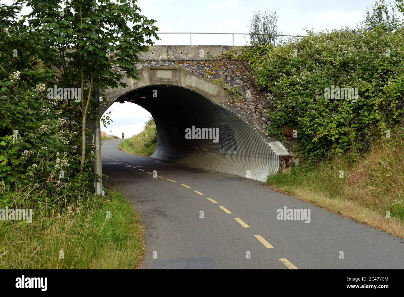Un ciclista bike giù una collina verso un tunnel sul Galloping Goose Trail nella grande città Victoria di View Royal, British Columbia, Canada su lgy Foto Stock