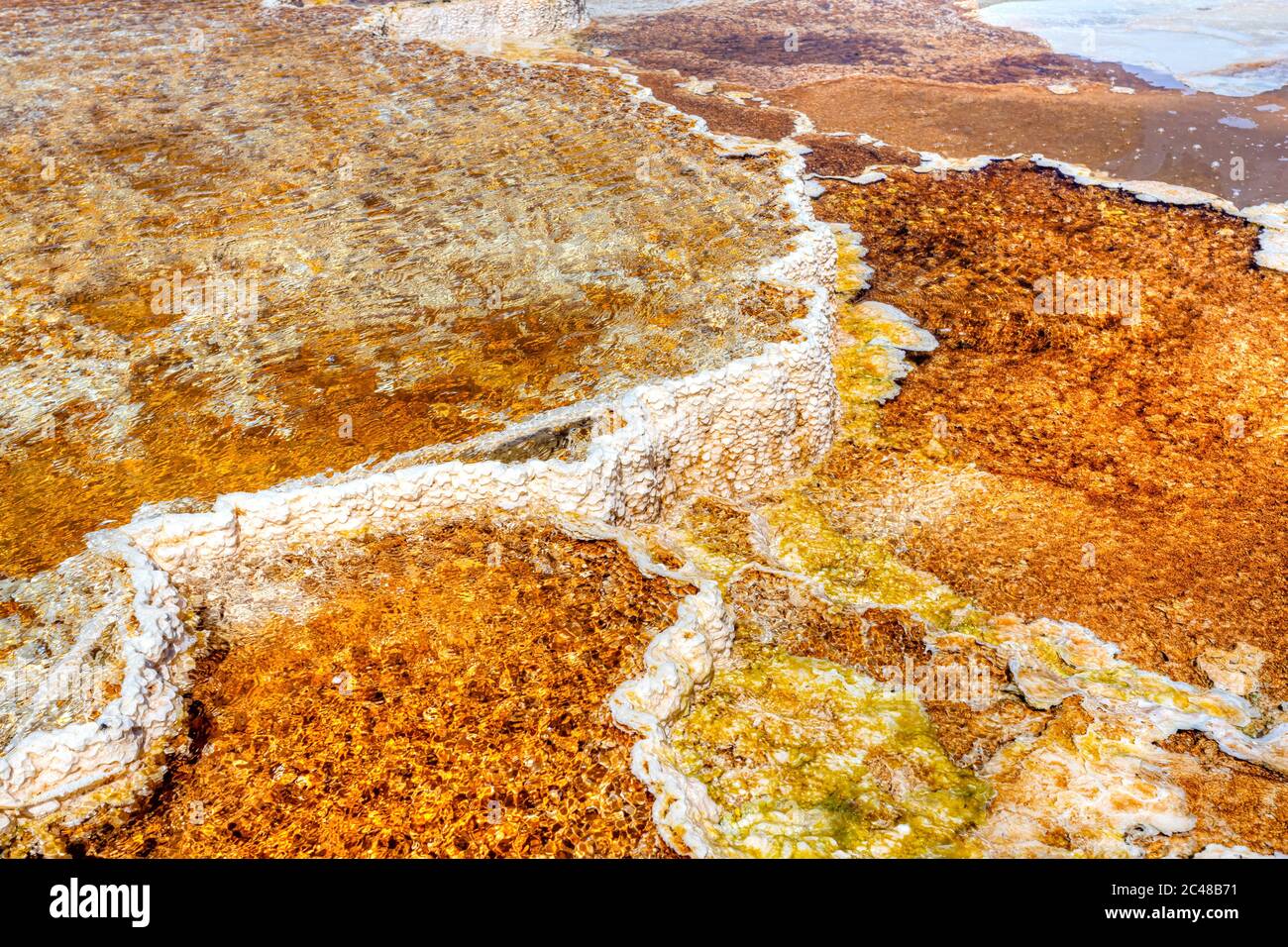 Primo piano dell'area termale vulcanica delle sorgenti termali delle Canarie della Main Terrace presso le sorgenti termali di Mammoth nel Parco Nazionale di Yellowstone, Stati Uniti. Foto Stock