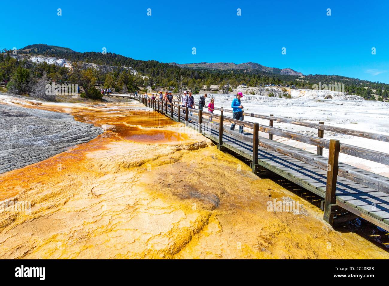 Wyoming, USA - 28 agosto 2019: I visitatori camminano lungo la passeggiata delle sorgenti termali delle Canarie presso le sorgenti termali di Mammoth nel Parco Nazionale di Yellowstone, dove si trova il travertino fo Foto Stock