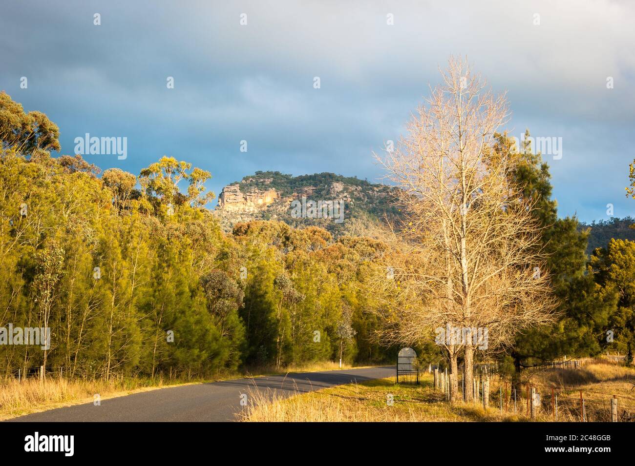 Un'iconica strada di campagna attraverso una foresta temperata che conduce a una scogliera di montagna sulla strada per Morpeth, nel nuovo Galles del Sud, Australia. Foto Stock