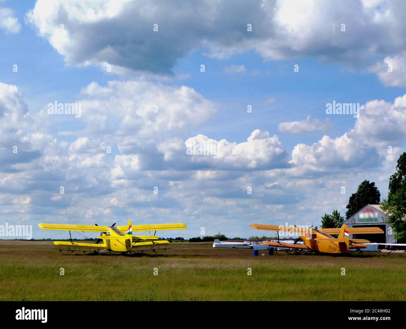 vecchio bi-aereo giallo ad ala doppia pronto per decollo su un campo verde aperto sotto il cielo blu con nuvole bianche. concetto di volo e libertà. vintage. Foto Stock