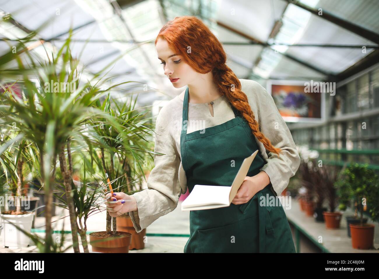 Fiorista giovane in grembiule in piedi con blocco note e matita in mani mentre lavora con piante in serra Foto Stock