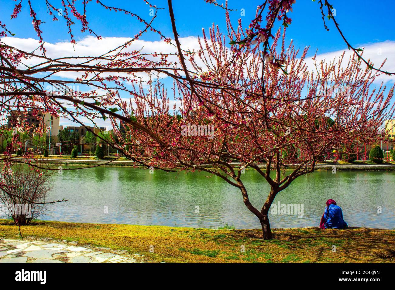 primavera a casa mia. Foto Stock