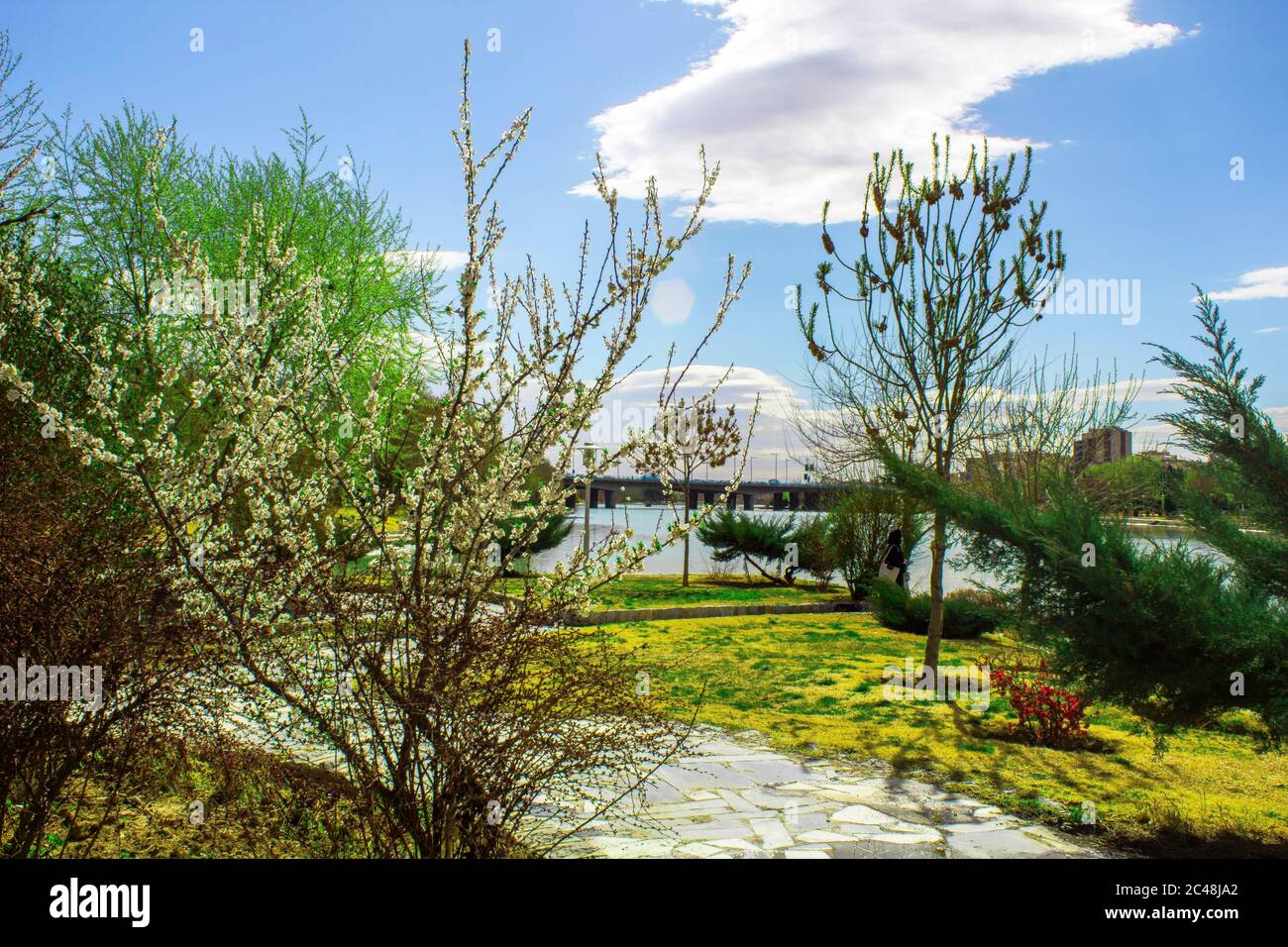 primavera a casa mia. Foto Stock