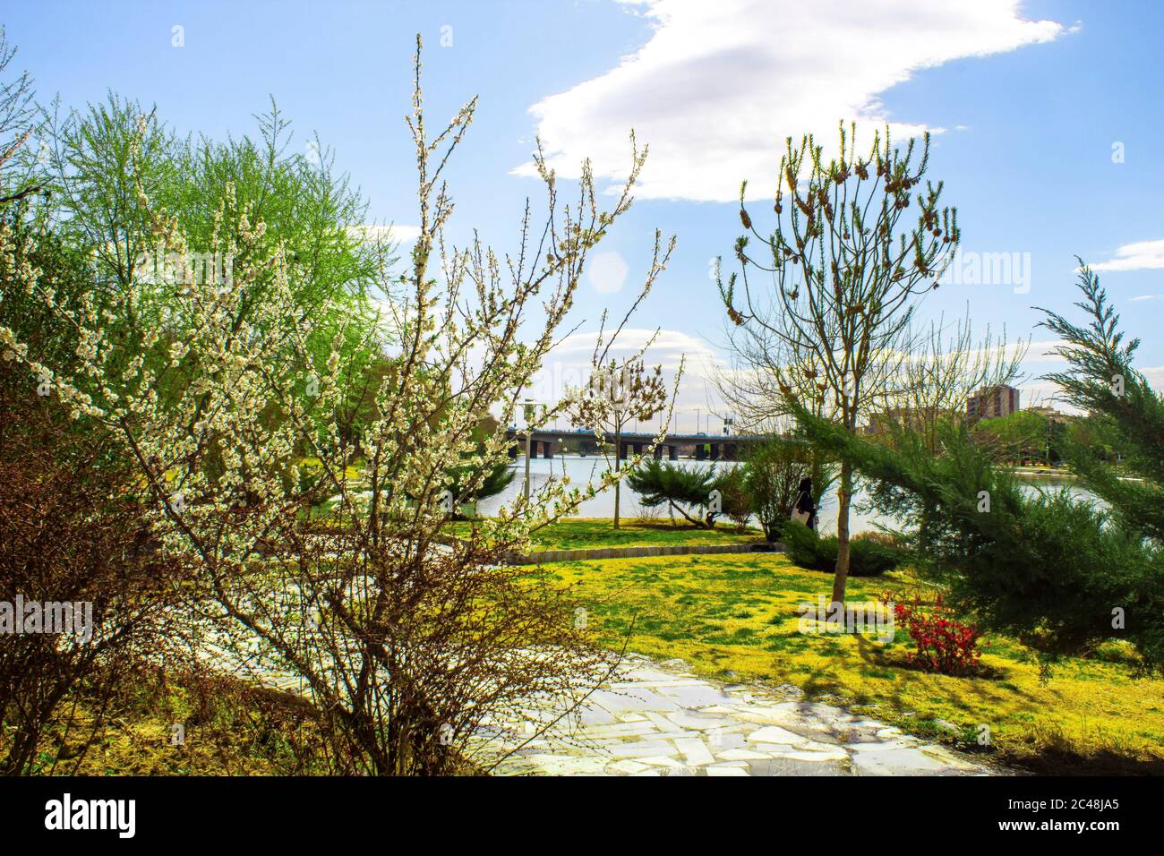 primavera a casa mia. Foto Stock