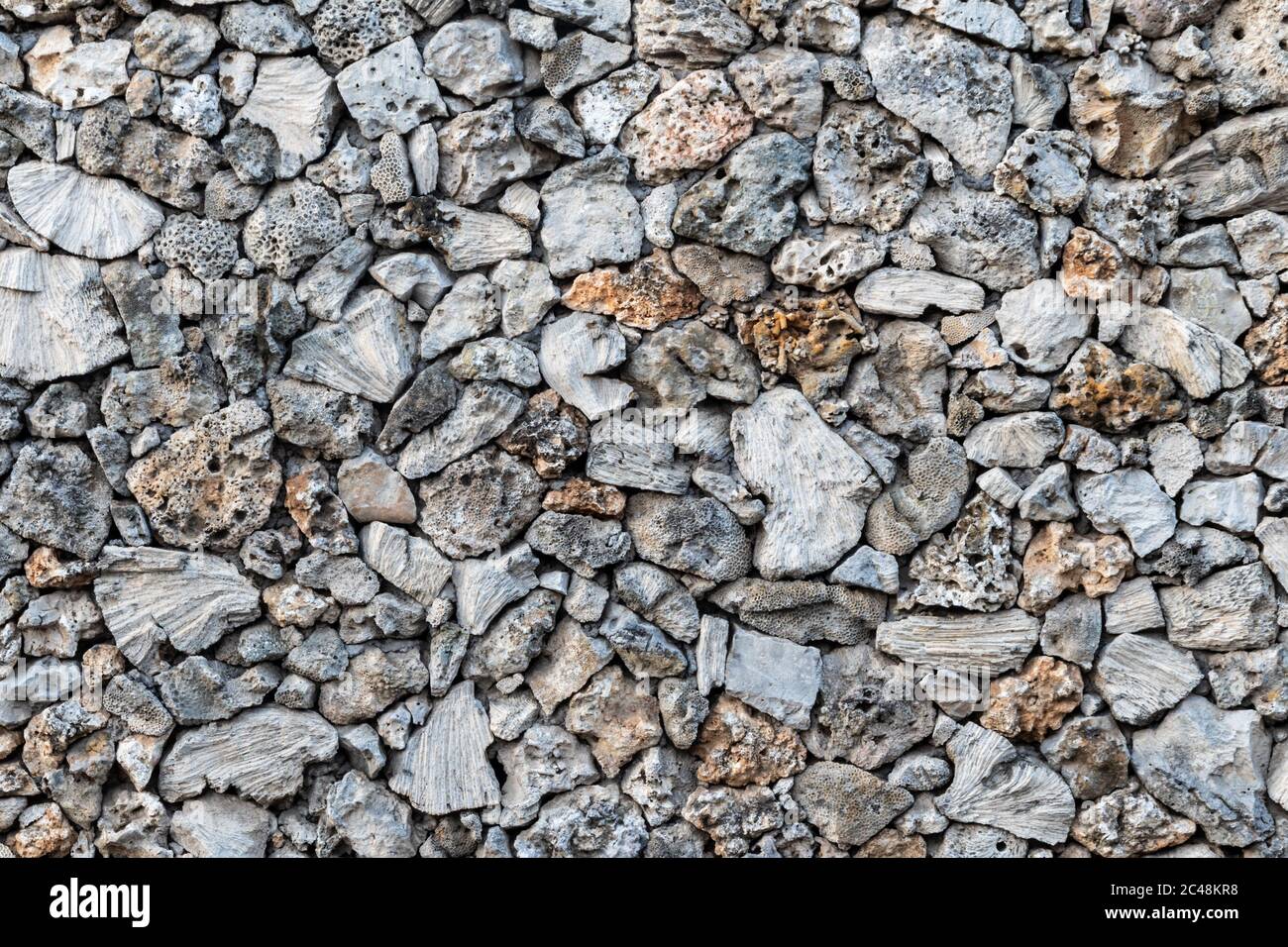 Parete in pietra testurizzata, costruita con pezzi di spugna marina nativa. Vicino alla spiaggia di Sanur, Bali, Indonesia. Foto Stock