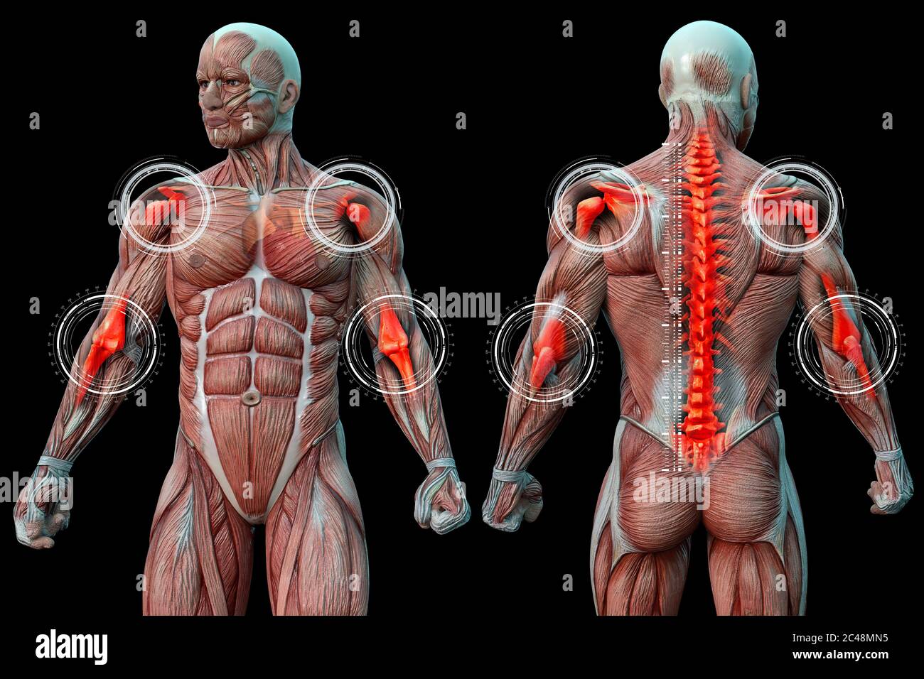 Dolore articolare nell'uomo, visione anatomica. illustrazione 3d. Foto Stock