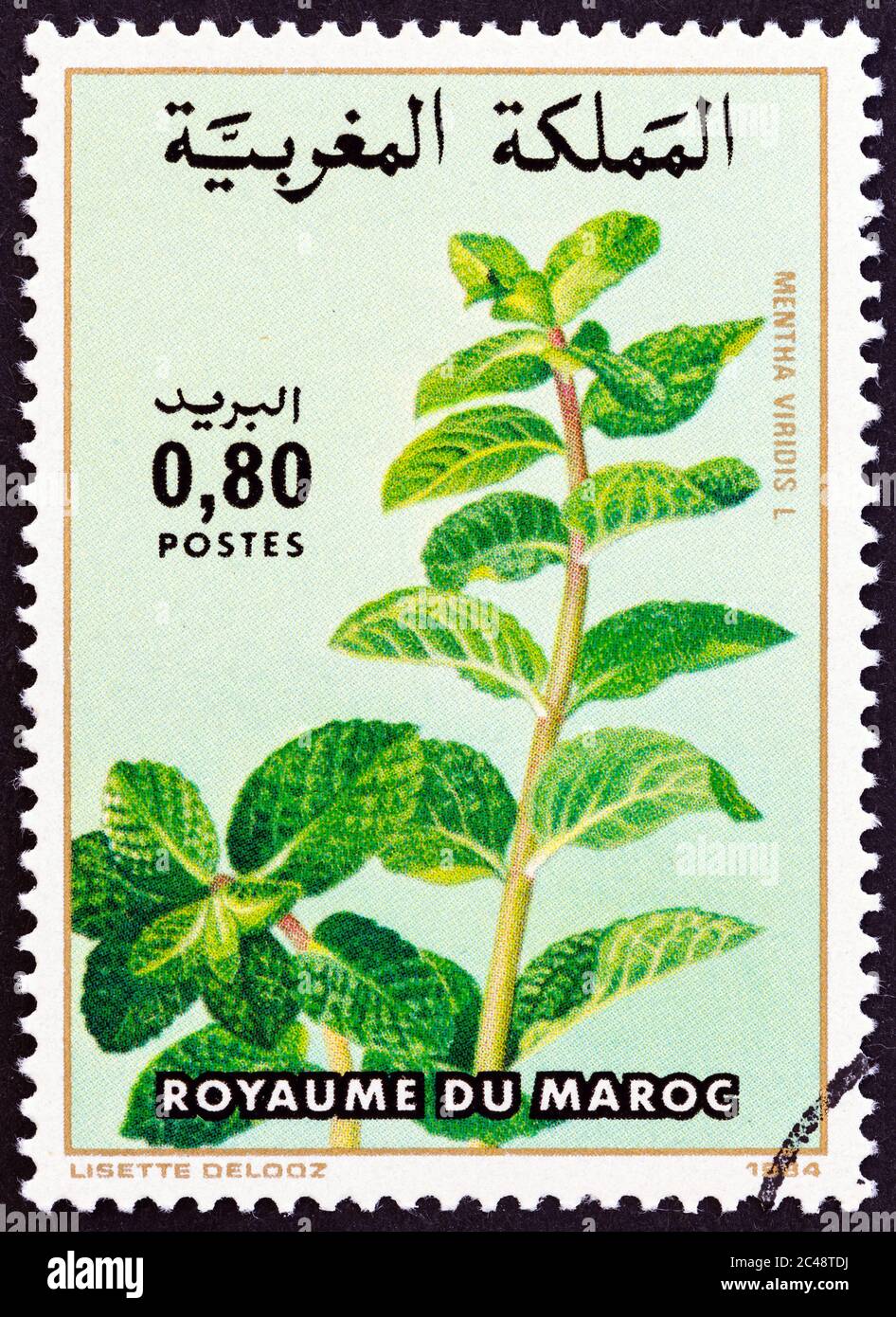 MAROCCO - CIRCA 1984: Un francobollo stampato in Marocco dal numero 'Fiori' mostra Mintha viridis, circa 1984 Foto Stock