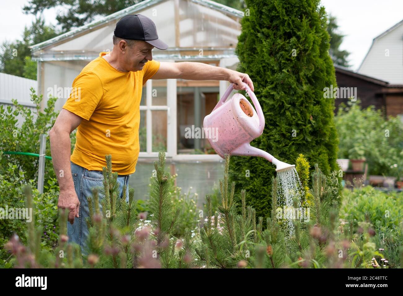 uomo annaffiatura fiori utilizzando lattina nel suo giardino. Foto Stock
