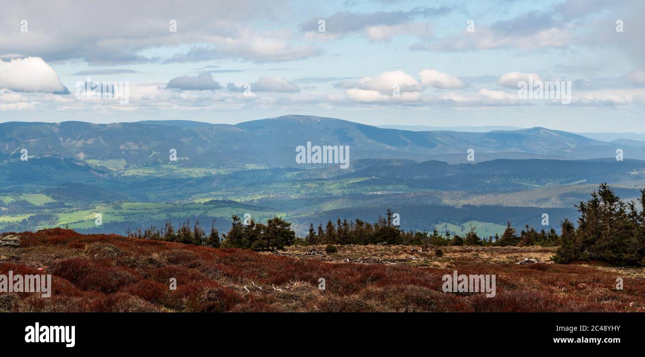 Vista sulla catena montuosa di Kralicky Sneznik dalla cima della collina di Keprnik in primavera montagne di Jeseniky nella repubblica Ceca Foto Stock