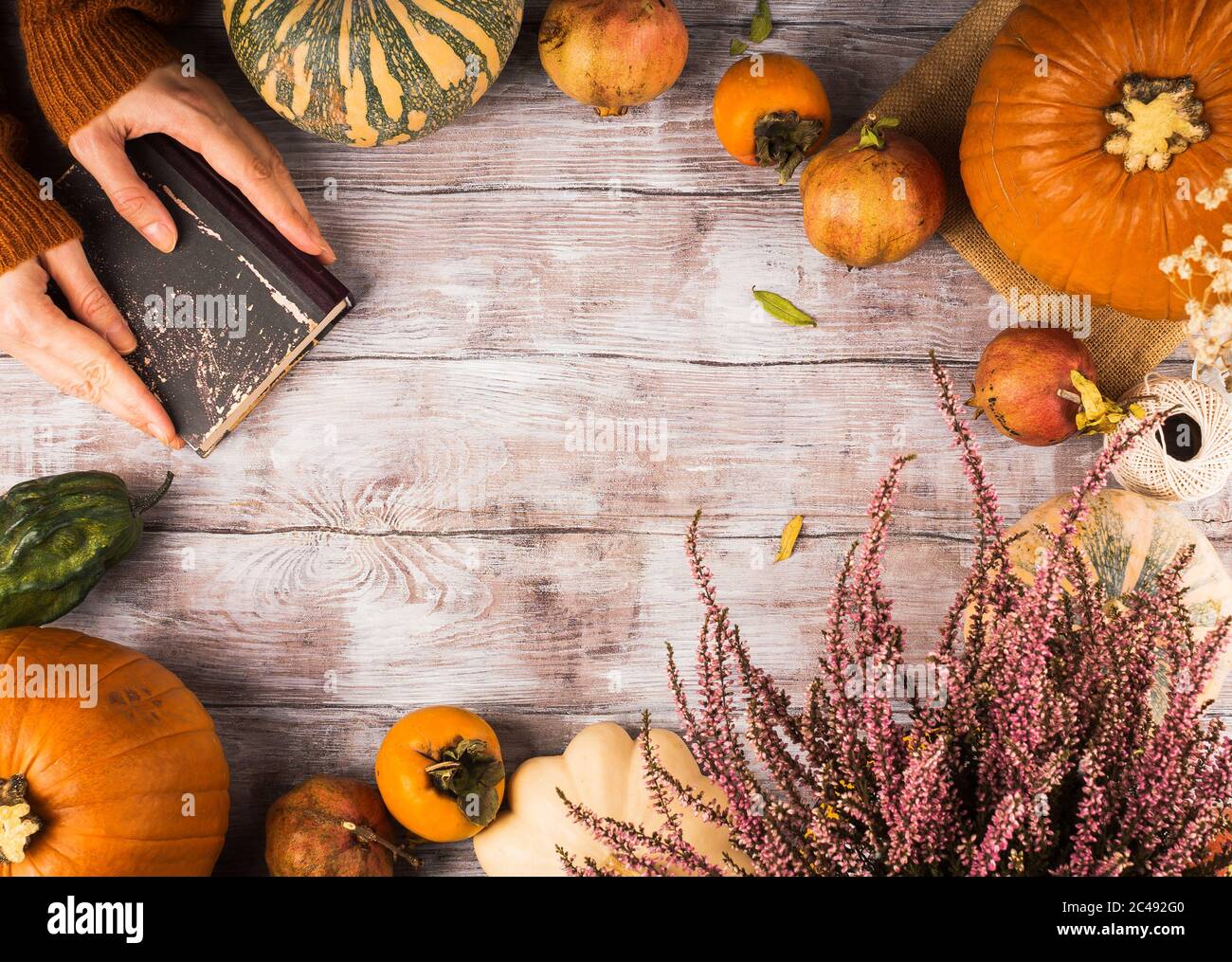 Caduta piatta posa con le mani femminili che tengono un libro Foto Stock