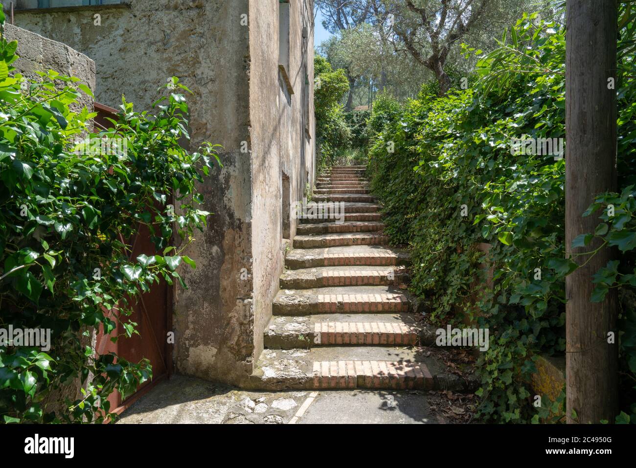 Via Vignola, Anacapri Foto Stock