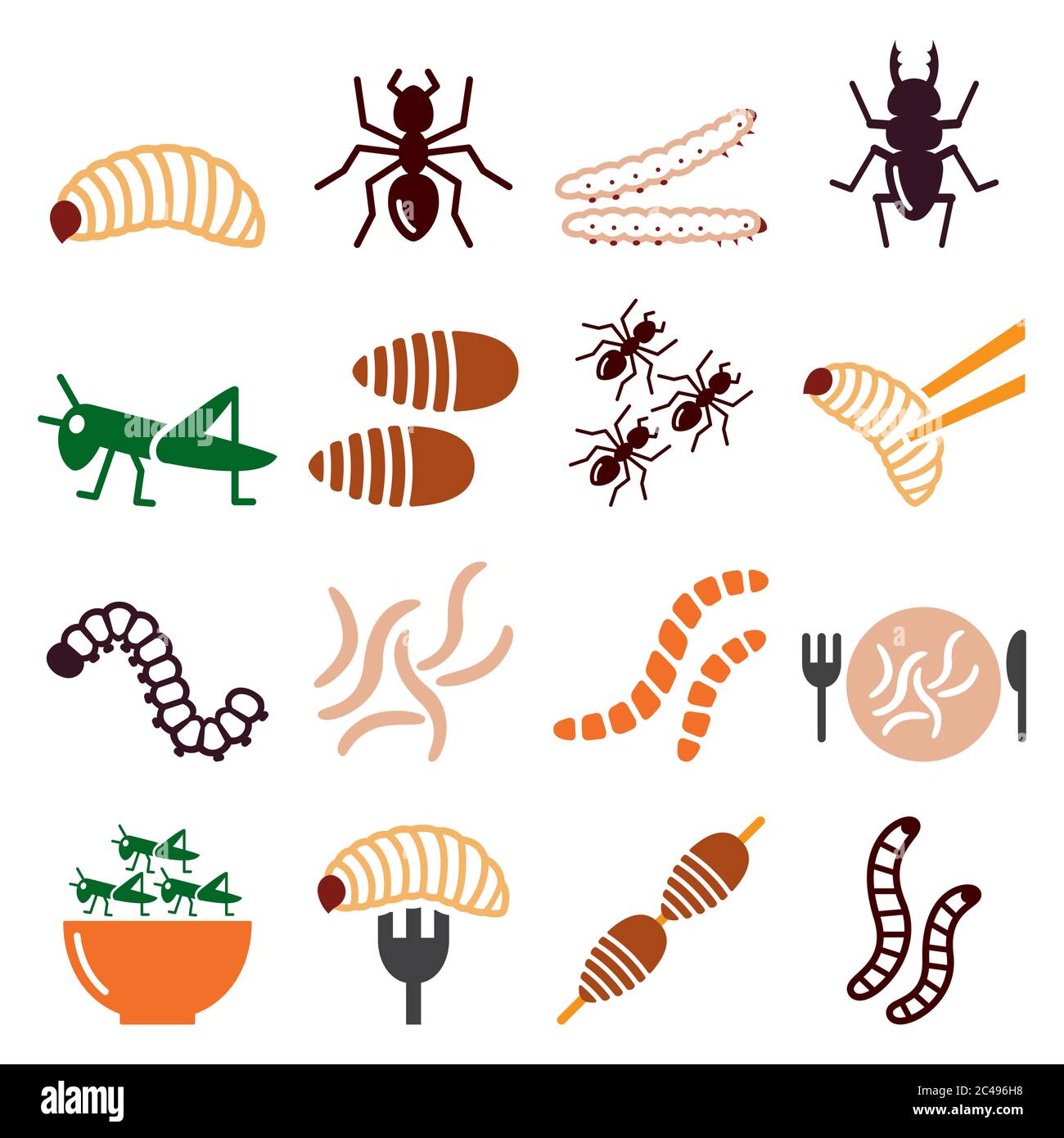 Vermi commestibili e insetti vettore icone set - fonte alternativa su proteine in cibo Illustrazione Vettoriale