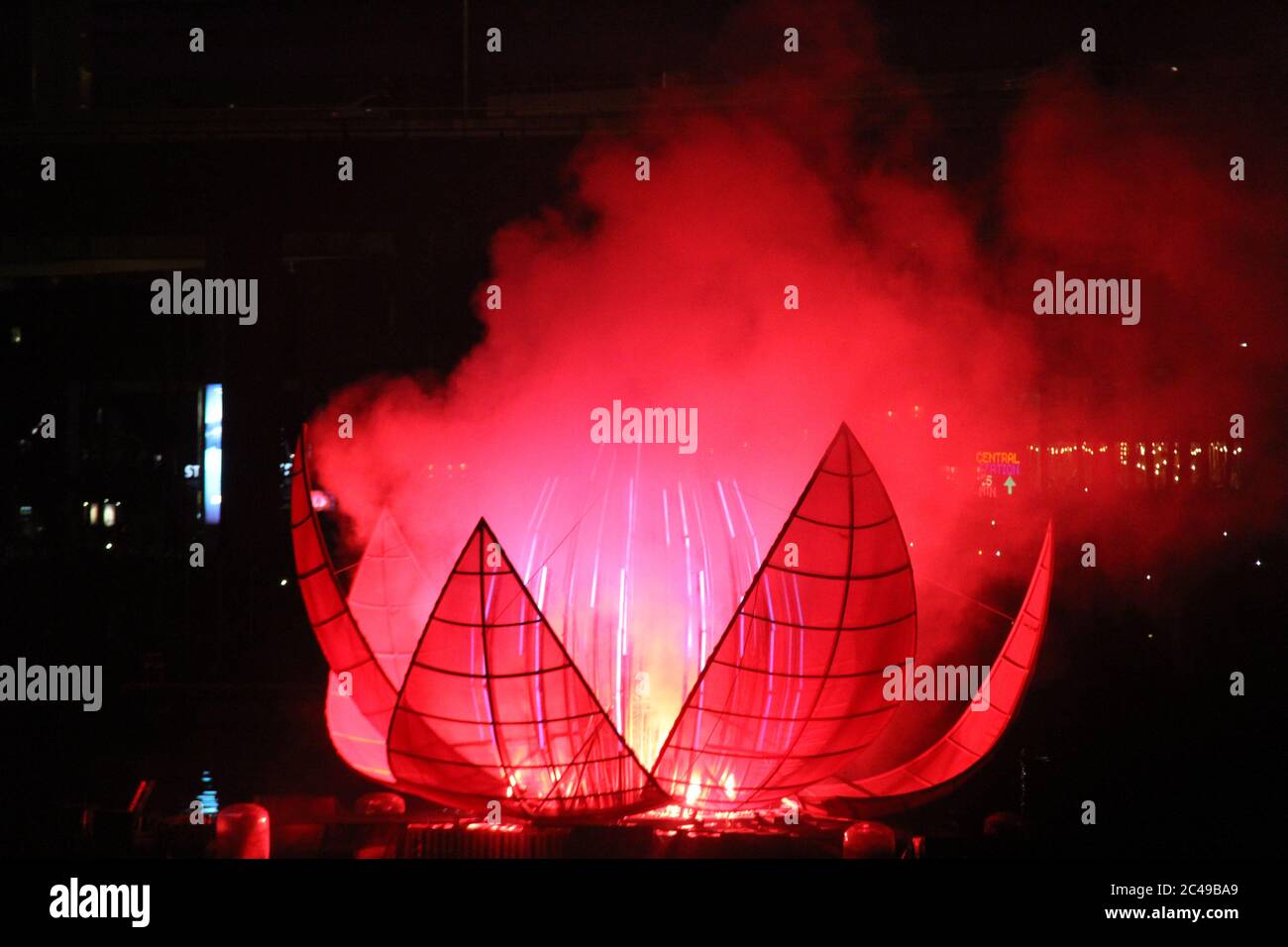 Che cosa assomiglia leggermente ad una versione gigante dell'emblema floreale del NSW, la Waratah (telopea speciosissima) può essere vista in apertura in su durante il fuoco Foto Stock