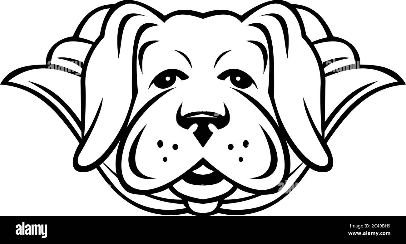 Immagine in stile mascotte in bianco e nero di un cane super giallo labrador Retriever con un capo visto dalla parte anteriore su sfondo isolato in retro st Illustrazione Vettoriale
