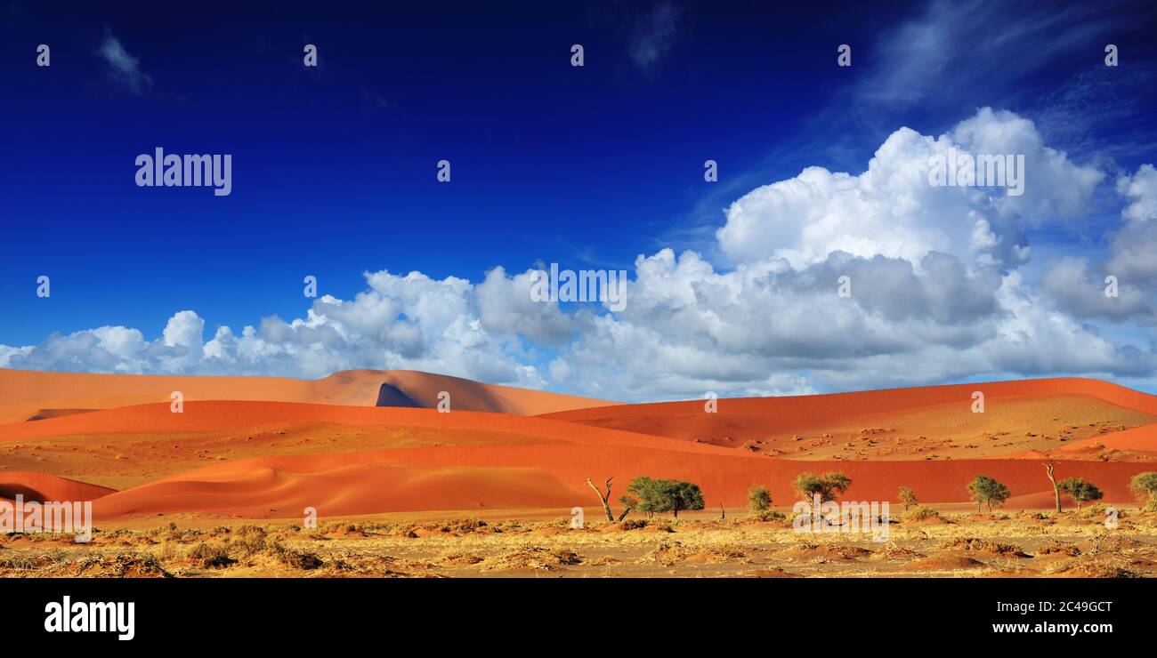 Splendido paesaggio con dune rosse e cielo suggestivo, Sossusvlei, Namib Naukluft National Park, Namibia Foto Stock