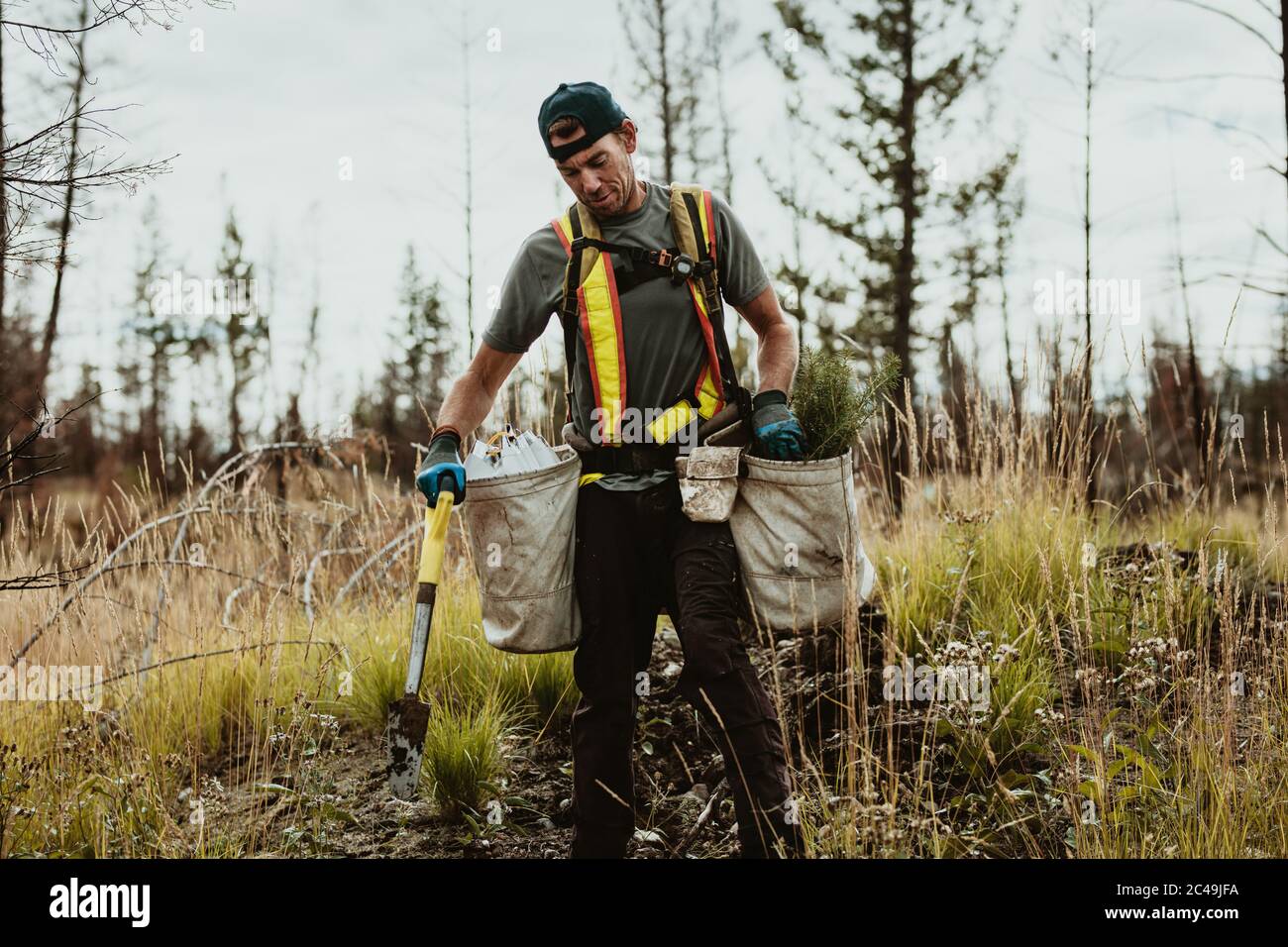 Uomo che pianta alberi in foresta usando pala. Forestere maschio piantando piantine in area deforested. Foto Stock