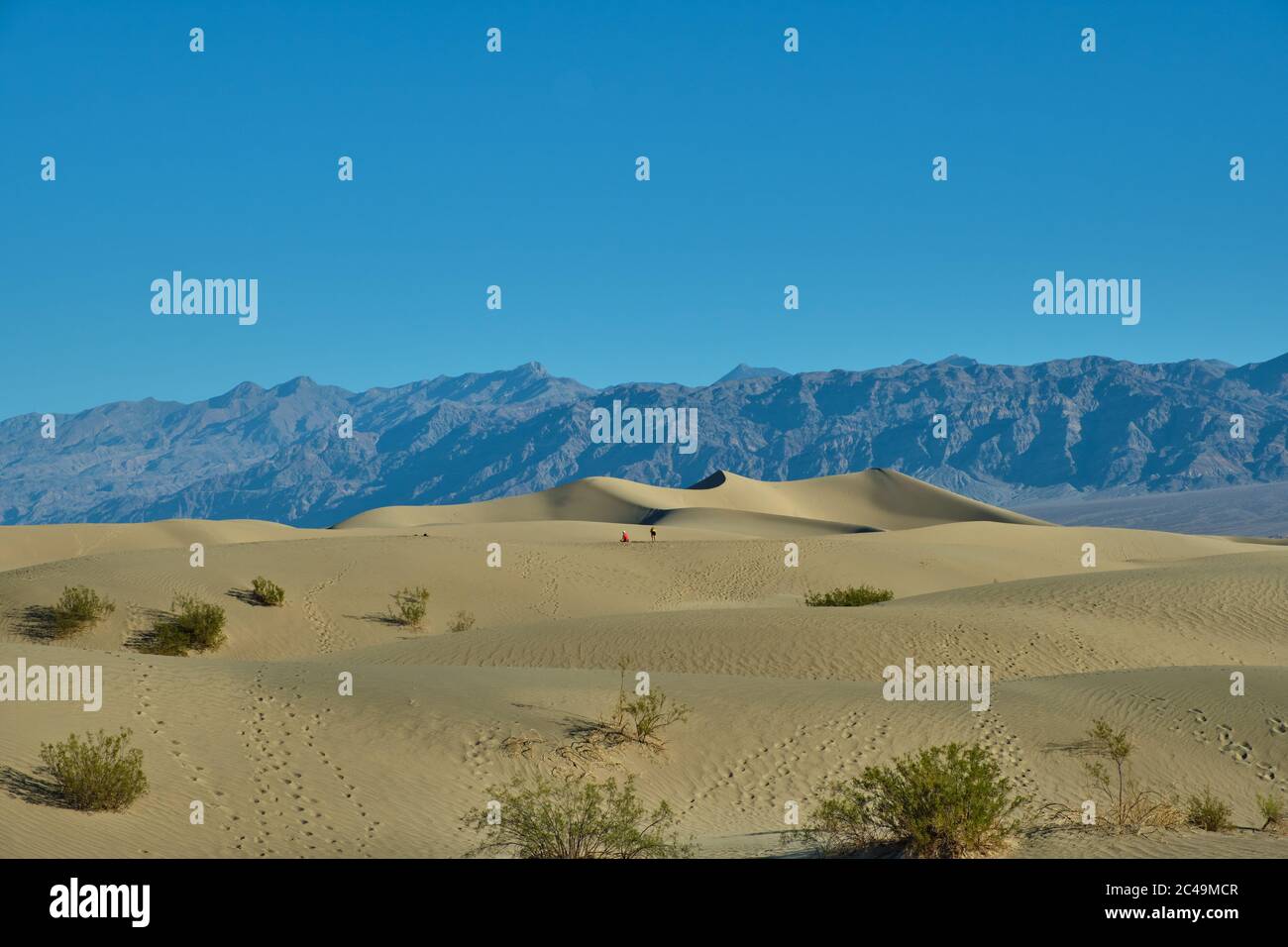 Mesquite Flat dune di sabbia, il Parco Nazionale della Valle della Morte Foto Stock