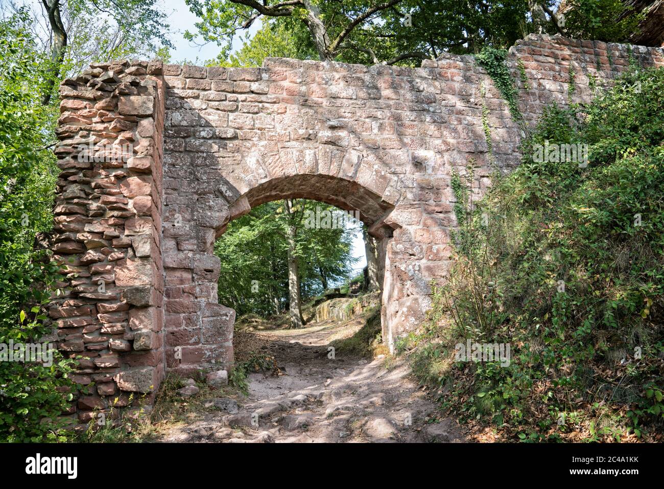 La porta principale del castello Guttenberg, Germania, che fa parte della Riserva della Biosfera della Foresta Palatinato del Nord dei Vosgi dell'UNESCO. Foto Stock