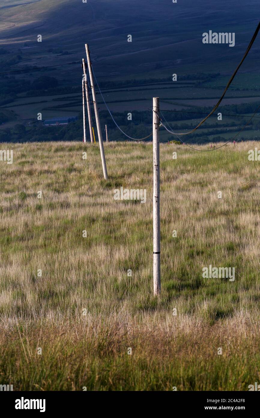 Pali Telegraph sulle colline gallesi Foto Stock