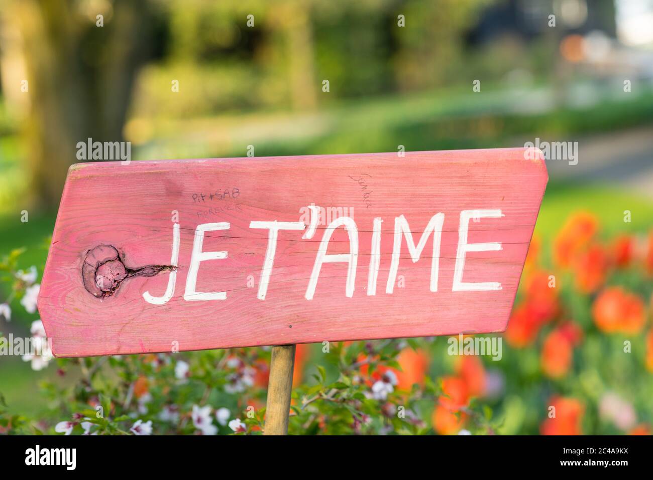 Segno rosa in un campo di fiori, tulipani, dicendo 'i love you' in francese 'JE t'aime' Foto Stock