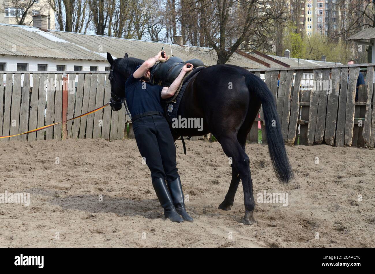 Allenatore di polizia che fa esercizi acrobatici sul suo cavallo Foto Stock