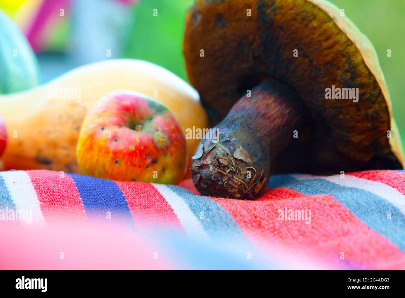 Funghi e mela biologici in azienda Foto Stock