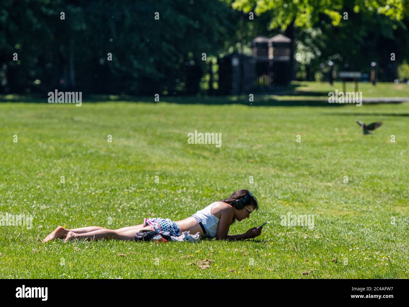 Harrogate, North Yorkshire, Regno Unito. 25 Giugno 2020. Oggi le persone sono al sole nel centro di Harrogate, quando ci si aspetta il più alto livello di UV mai. Credit: ernesto rogata/Alamy Live News Foto Stock