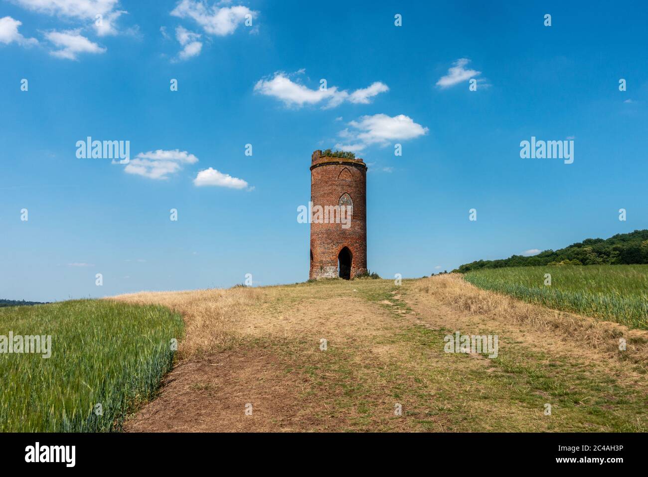 Wider's Folly su Nuntide Hill a Reading, Regno Unito visto in piena estate contro un cielo blu. Foto Stock