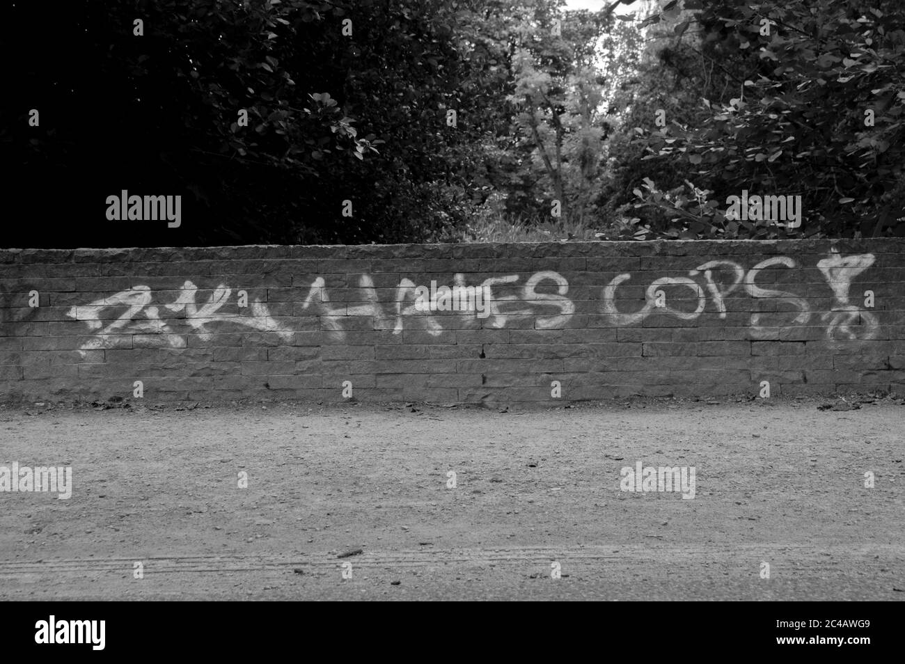 Testo su un ponte odia Cops al Parco Vondelpark di Amsterdam Paesi Bassi 20-6-2020 Foto Stock