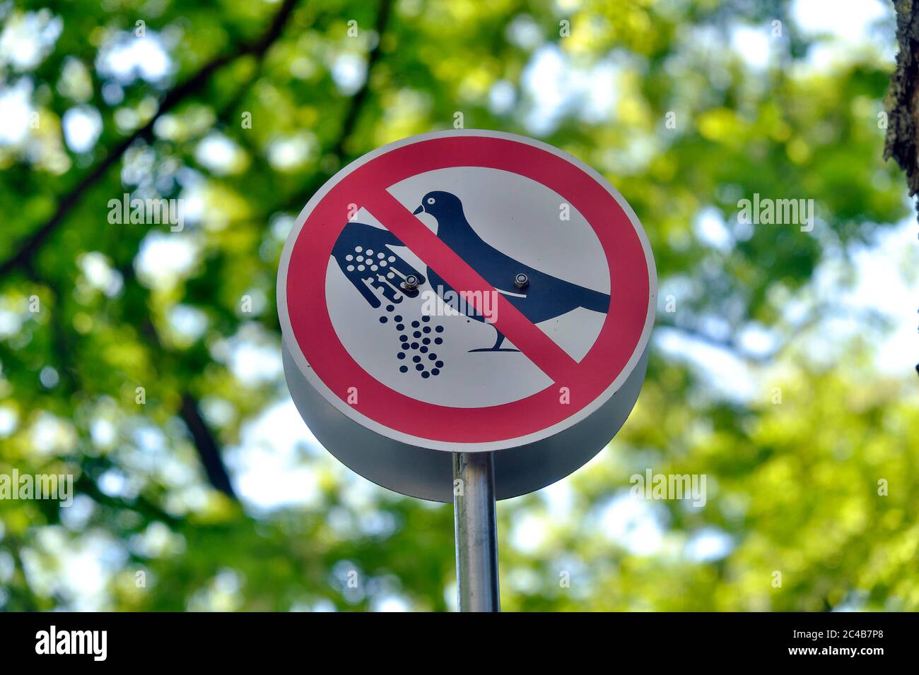 Cartello di divieto, alimentazione di piccioni vietata, Viktualienmarkt,  Monaco, Baviera, Germania Foto stock - Alamy
