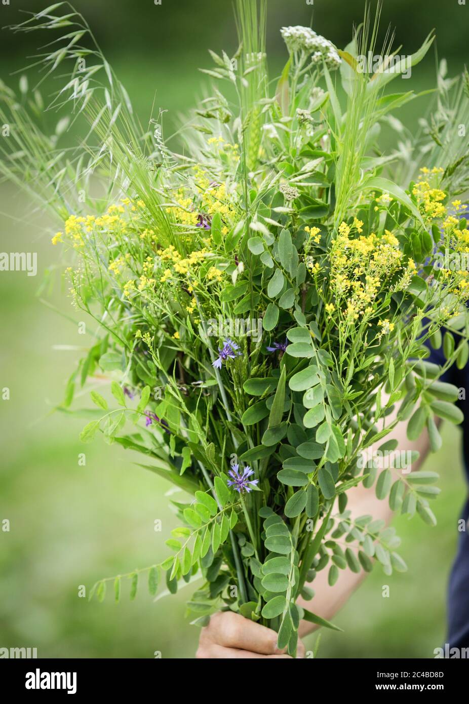 Dettagli con la mano di un uomo che tiene un bouquet di fiori selvatici. Foto Stock