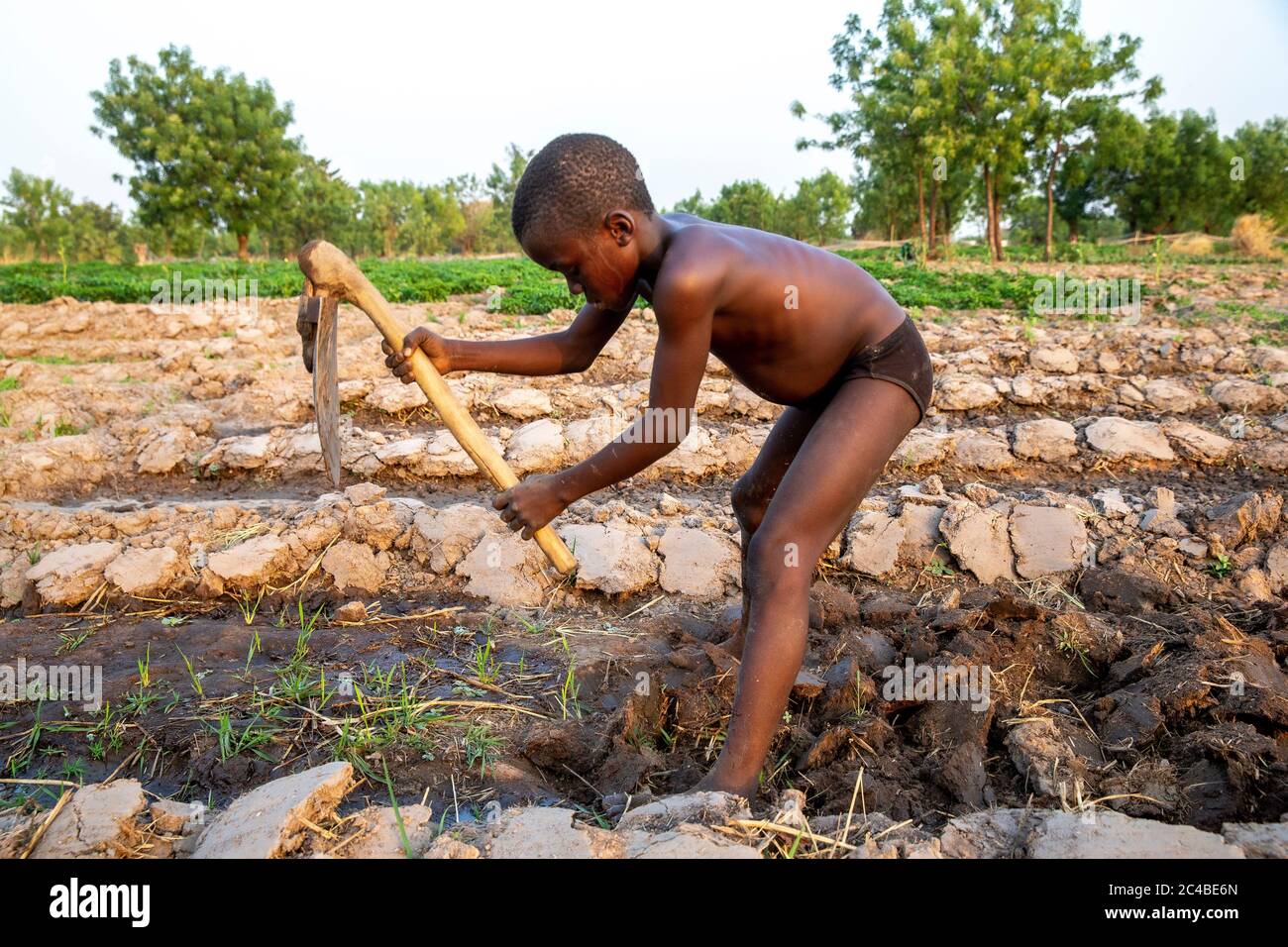 Ragazzo scavando un campo in karsome, togo Foto Stock