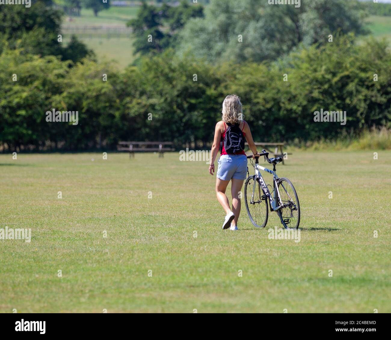 Una donna che cammina con la sua bicicletta attraverso l'erba al Teston Bridge Country Park. Il 25 giugno 2020 è stato il giorno più caldo dell'anno. Foto Stock